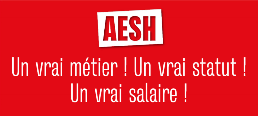 Grève des AESH le 9 juin: la lutte continue pour un vrai statut et un salaire digne